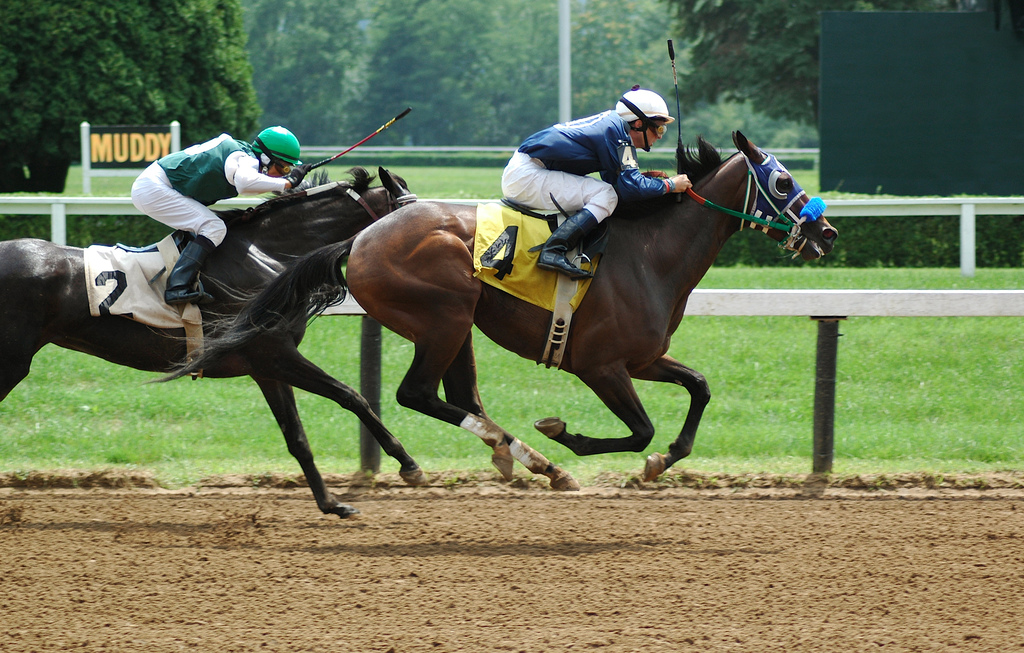 Top 31 Amazing And Dashing Horse Racing Wallpapers In HD