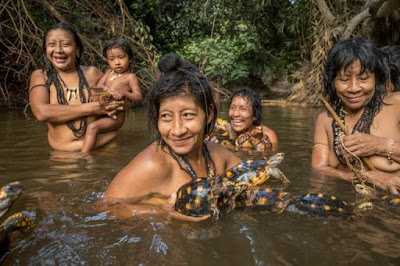 Indígenas e a floresta amazônia corre o risco de genocídio em massa 
