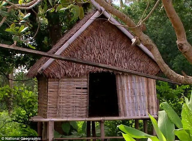 Mother Nature Love Huts For Teenage Girls Tradition Of Kreung Tribes In Cambodia