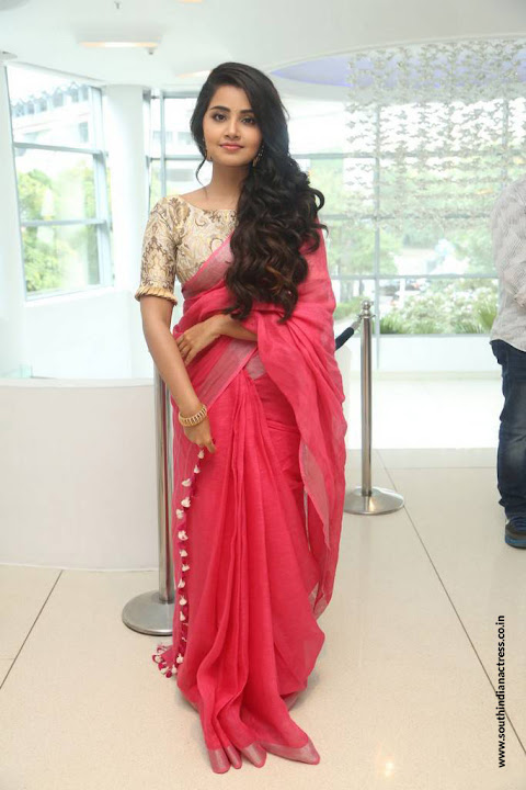 Anupama Parameswaran at Vunnadi Okate Zindagi Movie Thanks Meet