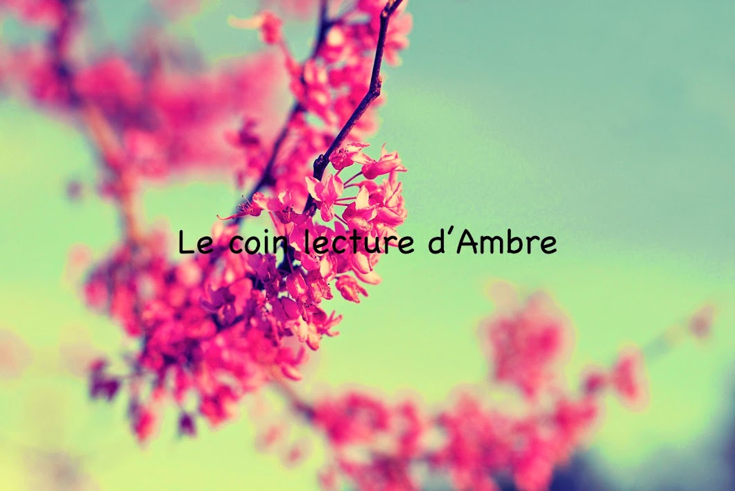 Le coin lecture d'Ambre