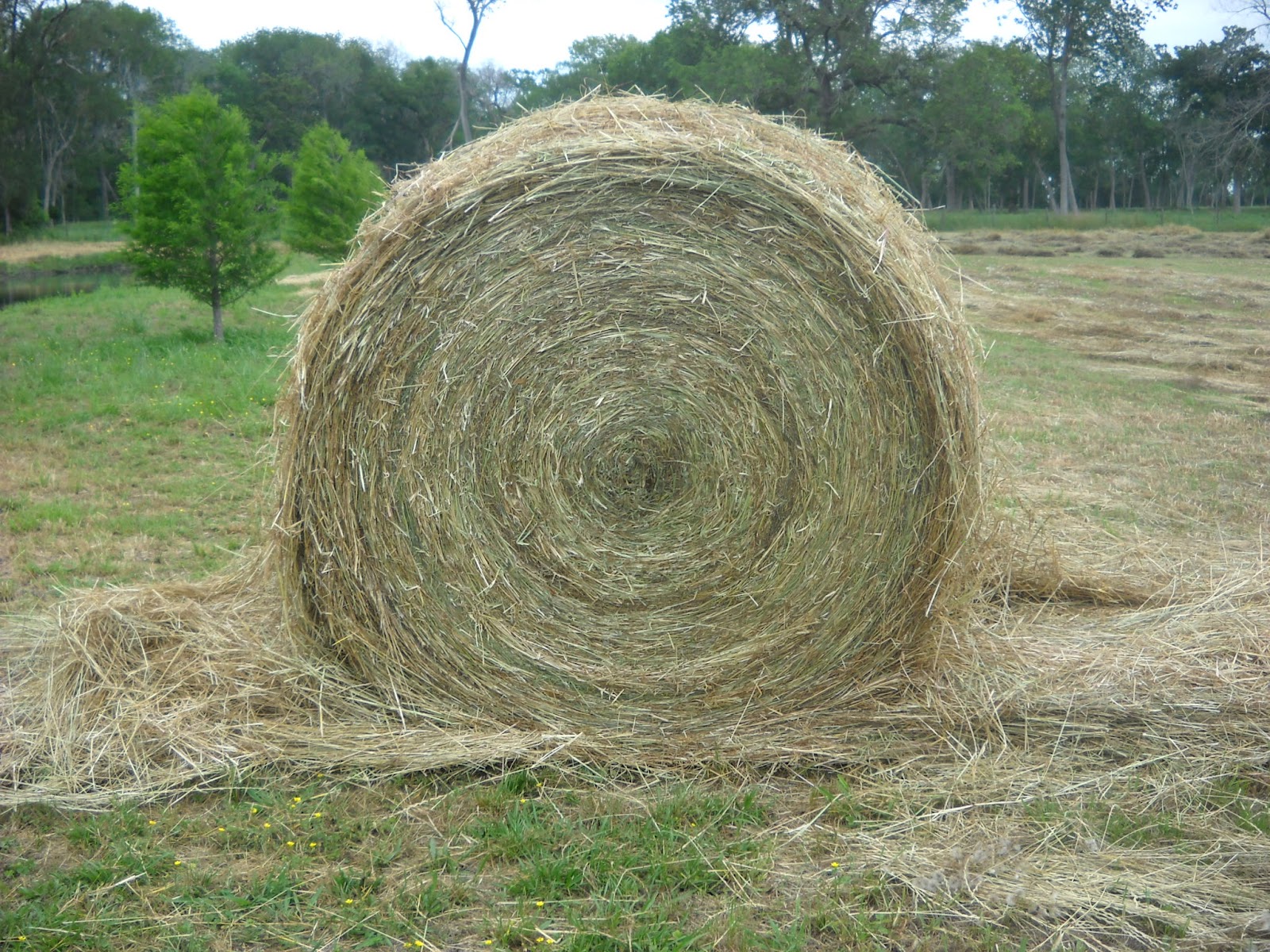 Janette Fuller: Make Hay While The Sun Shines
