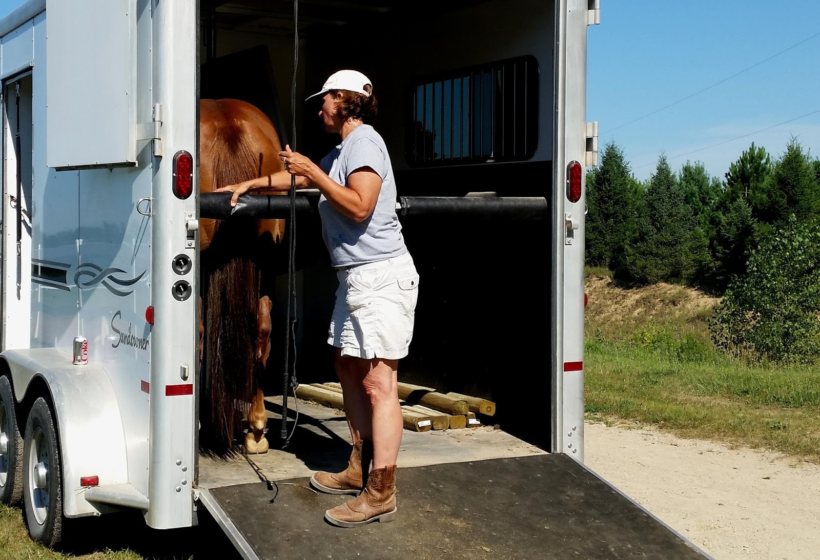 ALPHA Equestrian TIPS ON TRAILER LOADING