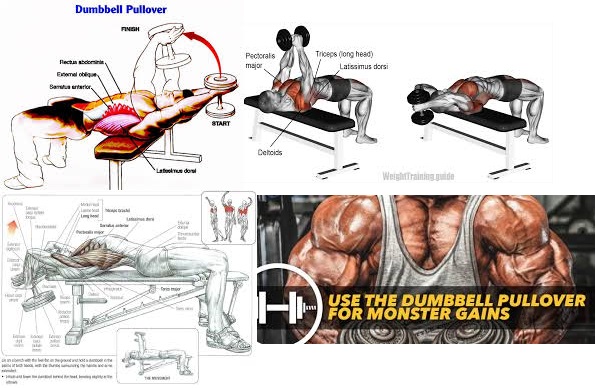 dumbbell pullover workout