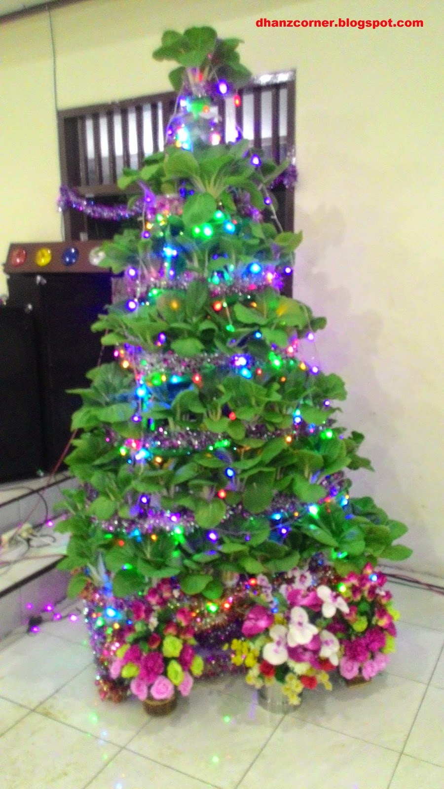 Membuat Pohon Natal Dari Pohon Sawi Dhanz Corner