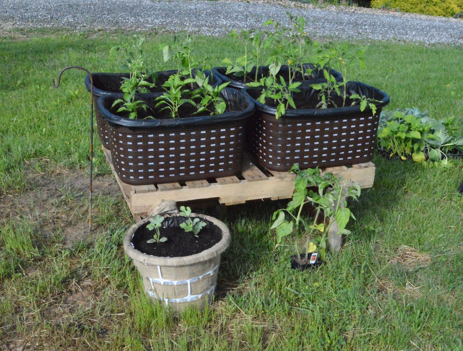 The Chic Burlap Boutique Blog Laundry Basket Gardening How to Turn Cheap Everyday Laundry