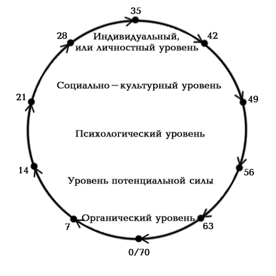 Семилетние циклы жизни. Жизненные циклы человека 7 лет. 7 Летние циклы жизни человека. Семилетние циклы в жизни человека таблица. Семилетние циклы в жизни человека.