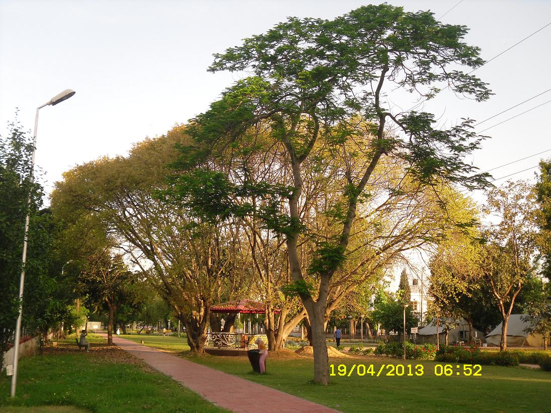 EXPLORING THE EXOTIC JAMMU & KASHMIR REGION GREEN BELT PARK