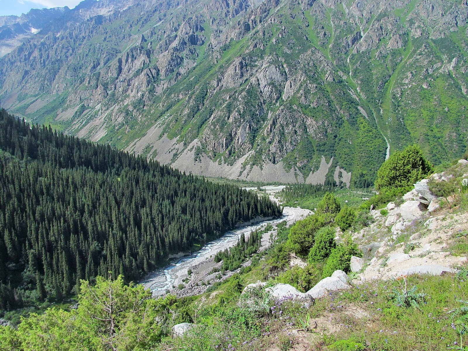 Ала Арча Киргизия