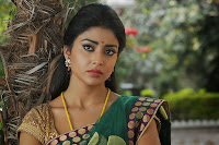 Shriya Saran Latest Glamorous Photos HeyAndhra
