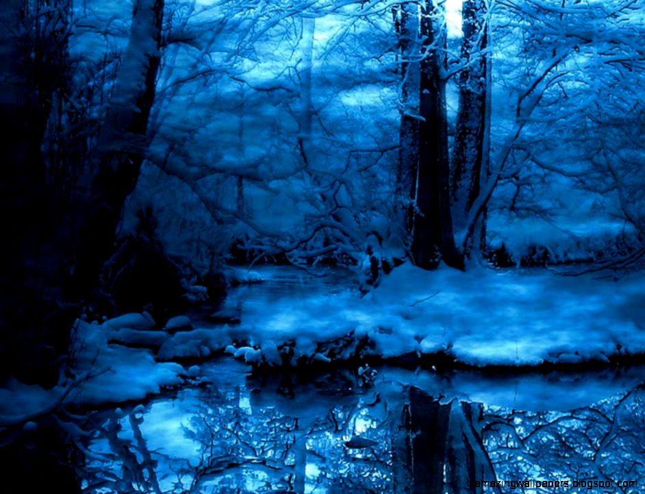 Night Snow Forest Wallpaper