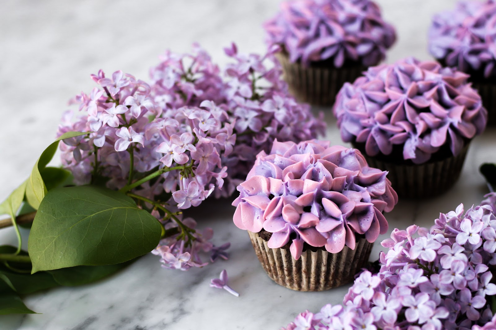 Thyra Common Lilac Almindelig Syren
