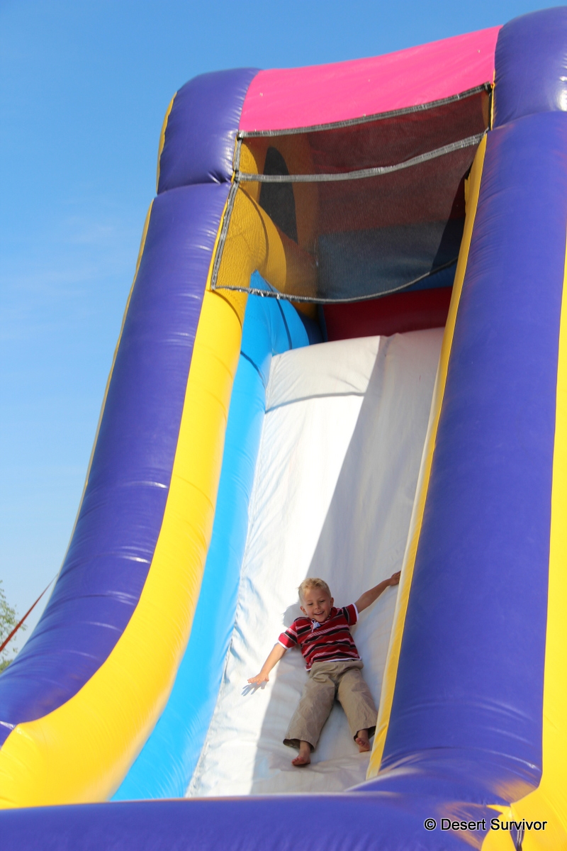 Desert Survivor Millard County Fair 2012