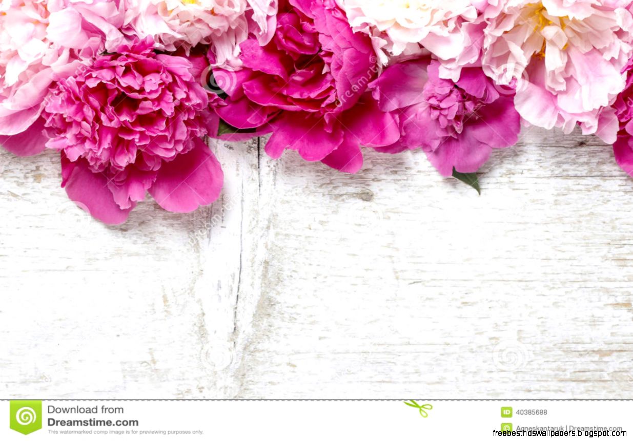Stunning Pink Peonies Yellow Carnations And Roses Stock Photo