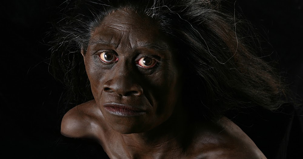 thefuzzysasquatch: Being Human IV: Homo floresiensis: Not us
