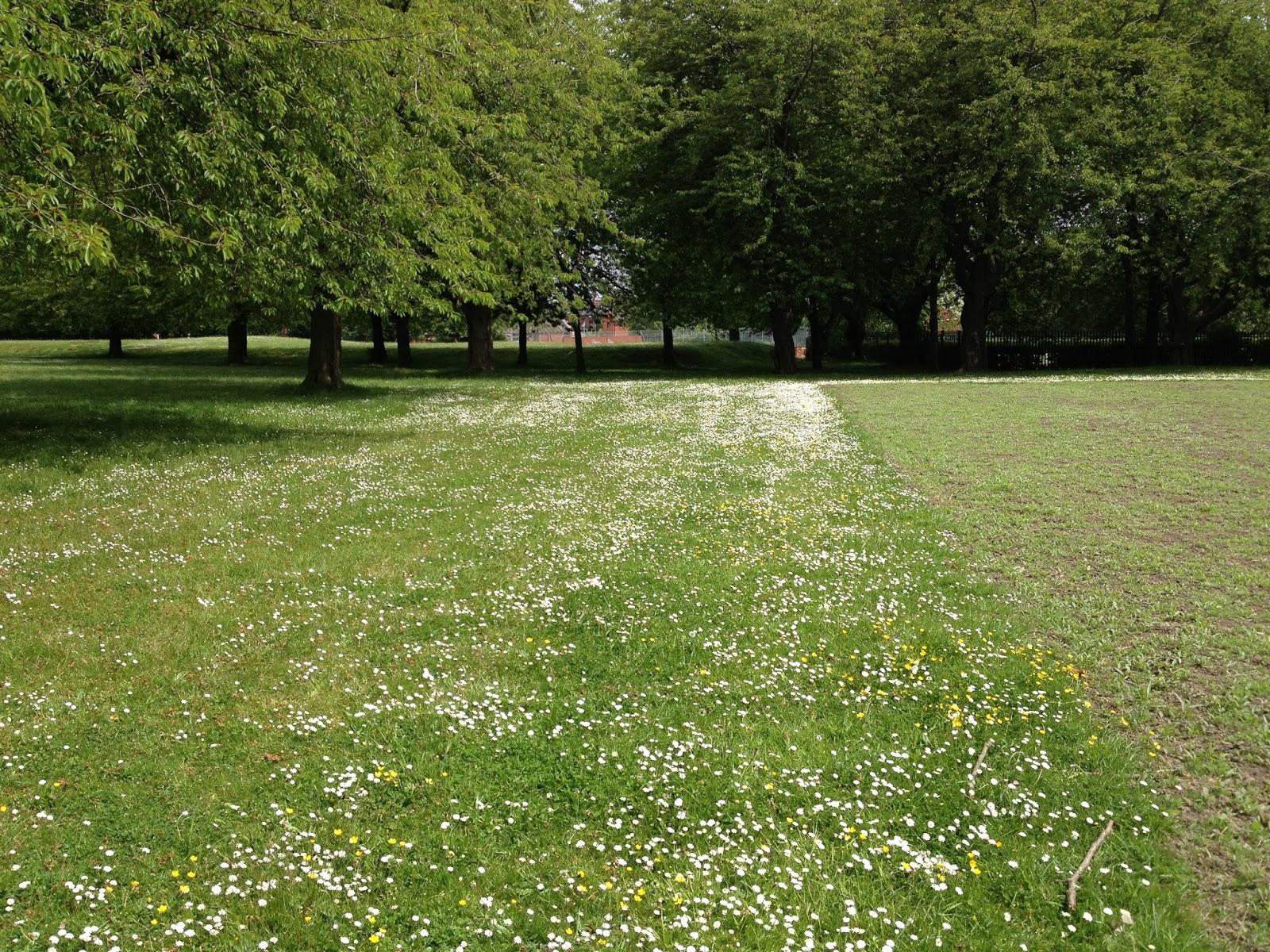 Urban Pollinators How does your garden grow?