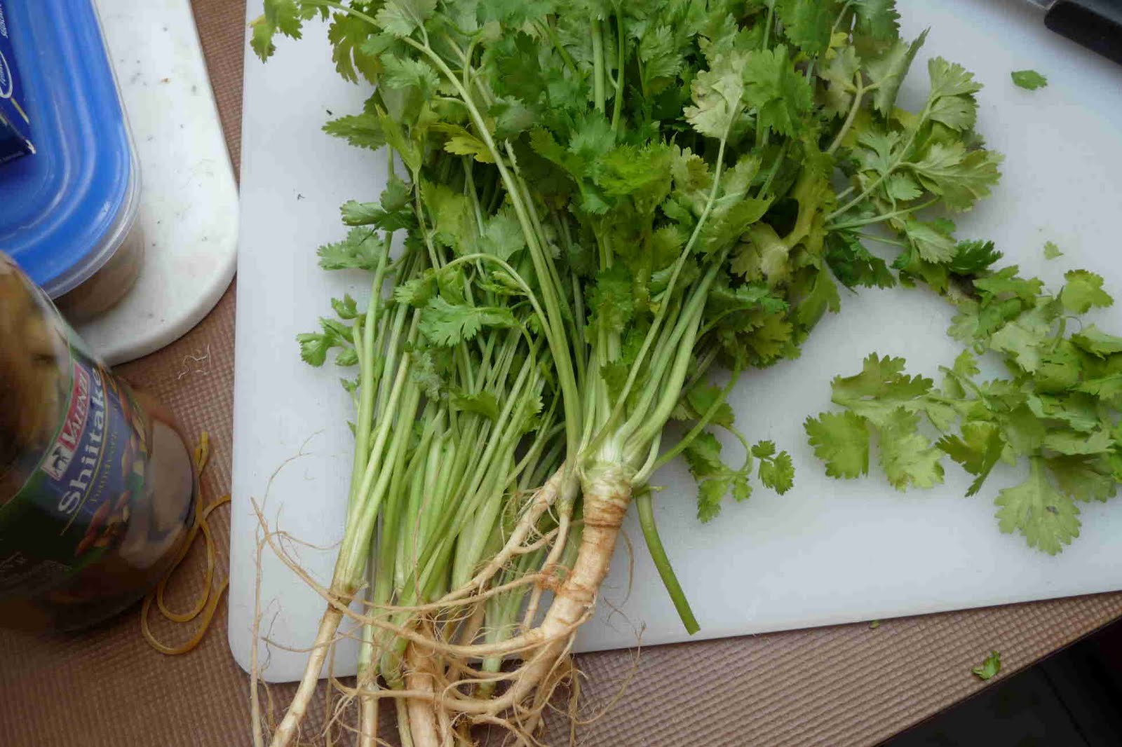 It's all in the game Tom Yam (or Yum) Gai Thai spicy (very) chicken