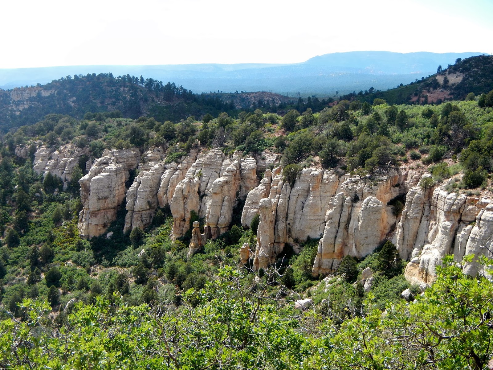 The Southwest Through Wide Brown Eyes: The Manti La-Sal National Forest ...