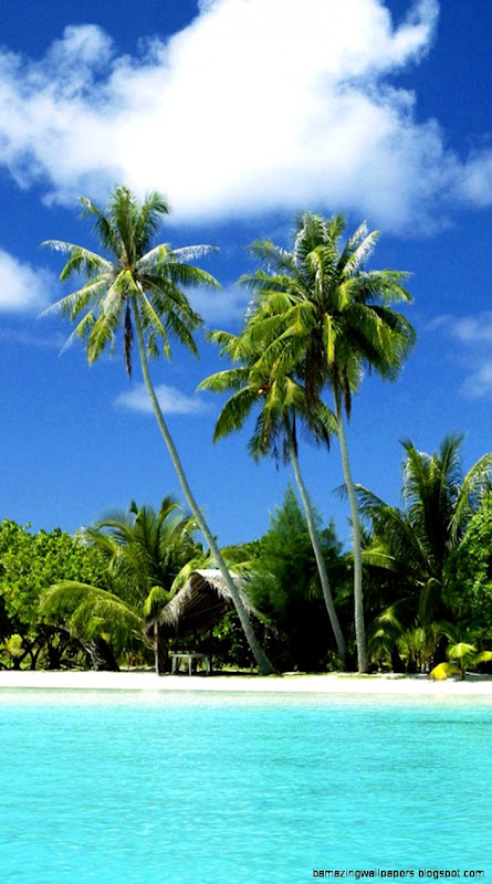 Casual tropical beach iPhone 6 Wallpapers iPhone 6 Backgrounds