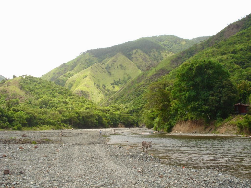 HISTÓRIA DO REGGAE SEAFORTH