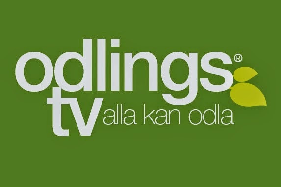 Odlings Tv