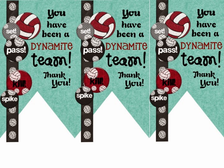 Going Overboard Volleyball Treat Bag