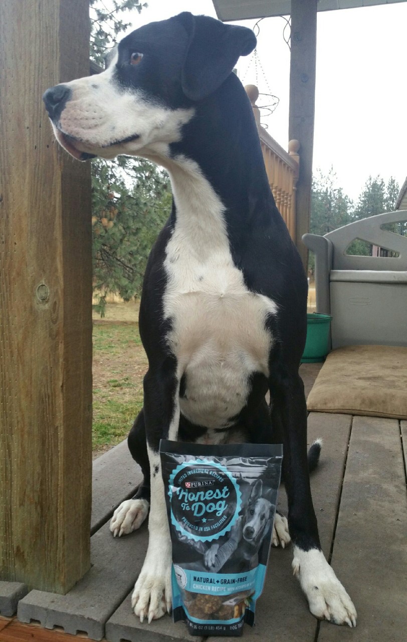 purina honest to dog treats