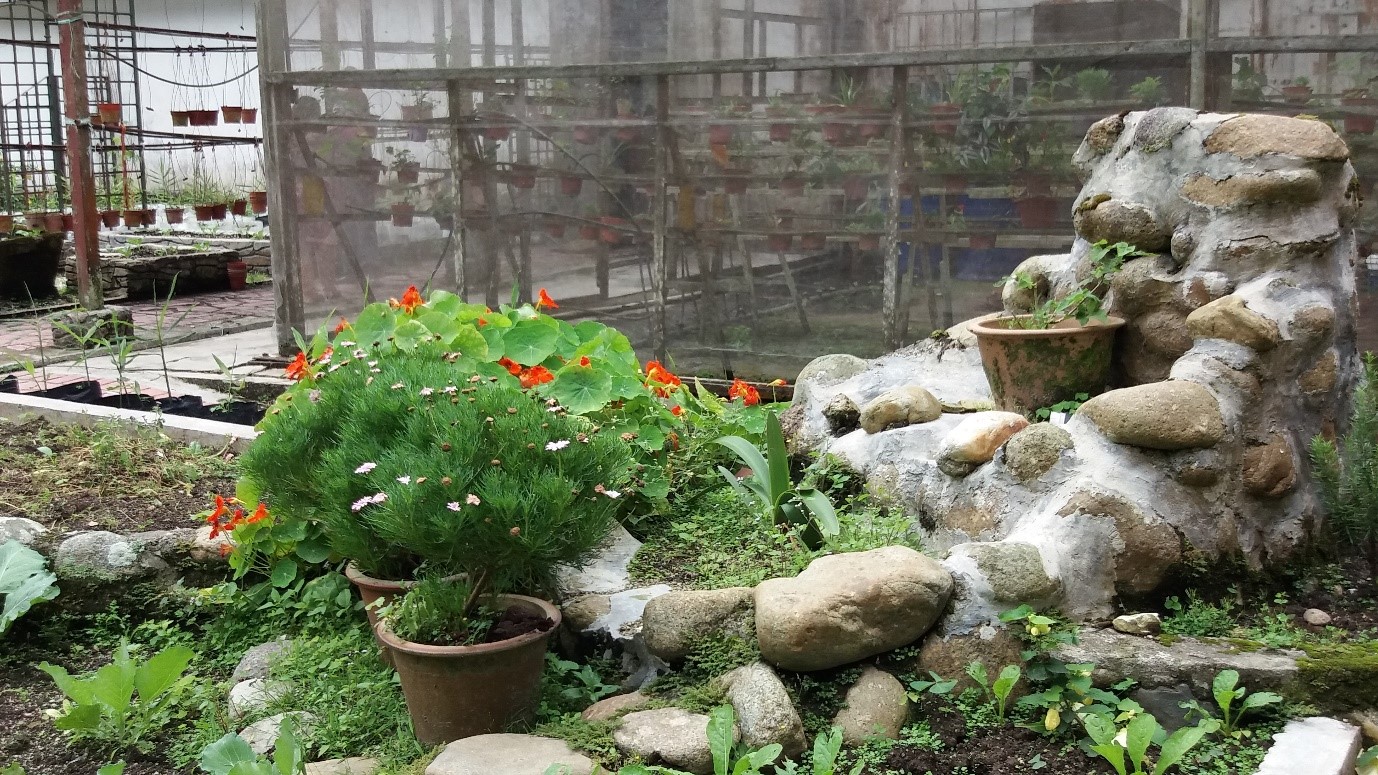 Mohd Faiz bin Abdul Manan Taman Flora Bukit Fraser