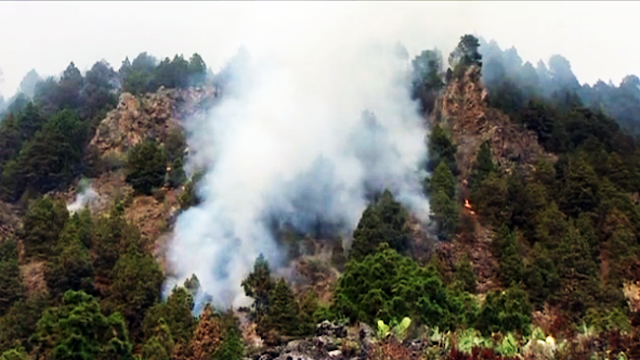 Incendio La Palma avanza hacia El Paso La Unidad Militar de Emergencias se suma a la lucha contra el fuego en La Palma Incendio La Palma avanza hacia El Paso La Unidad Militar de Emergencias se suma a la lucha contra el fuego en La Palma