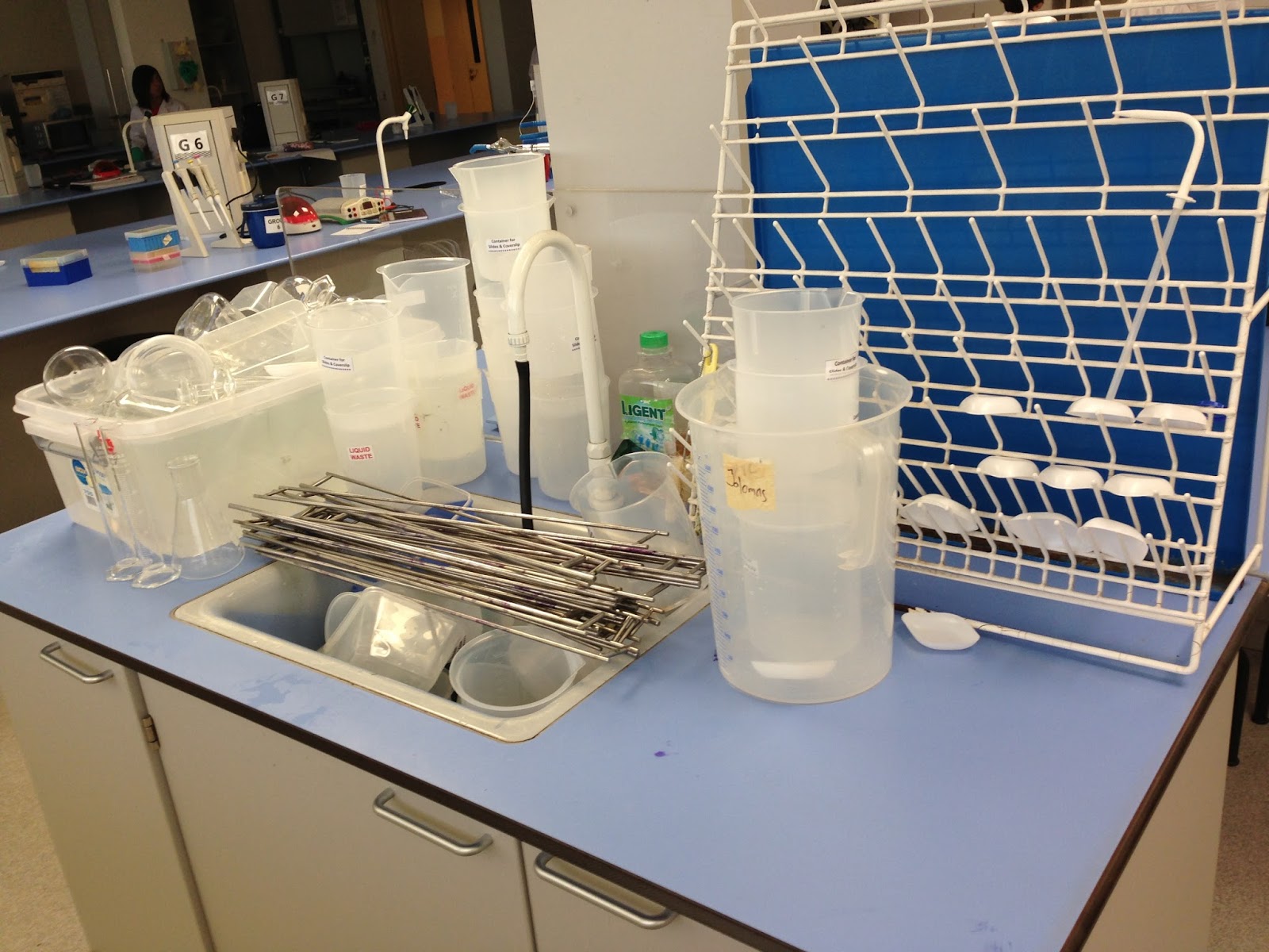 Biotechnology Treasures in Laboratory Mr Sai Mun's Blog