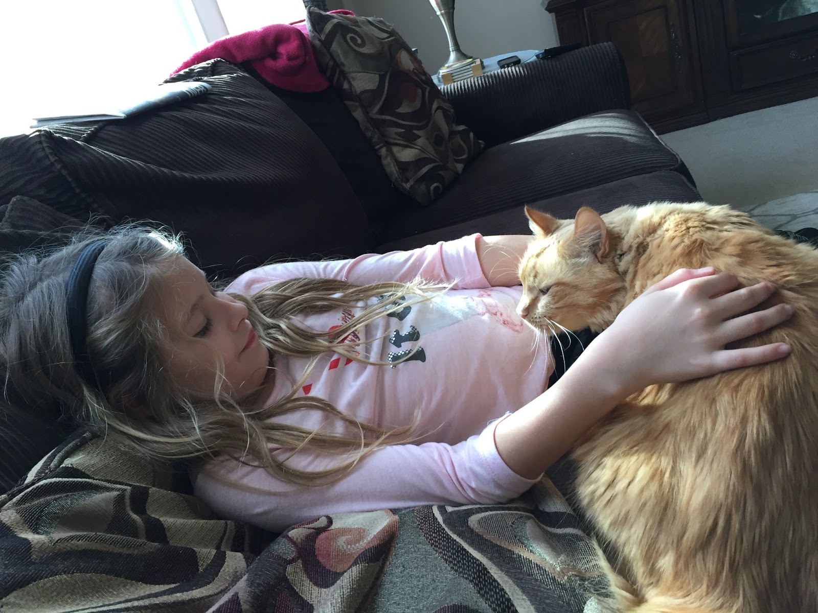 Airing My Laundry, One Post At A Time... Tips To Keep Cats Moving