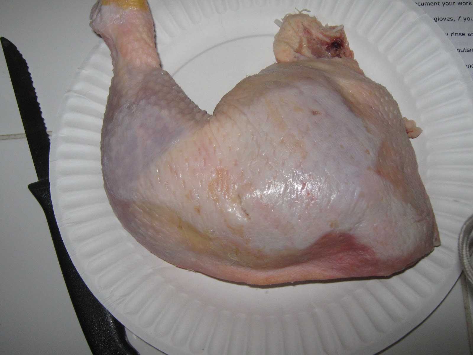 Nick Cross's BIO156: BIO 156 CROSS CHICKEN LEG LAB