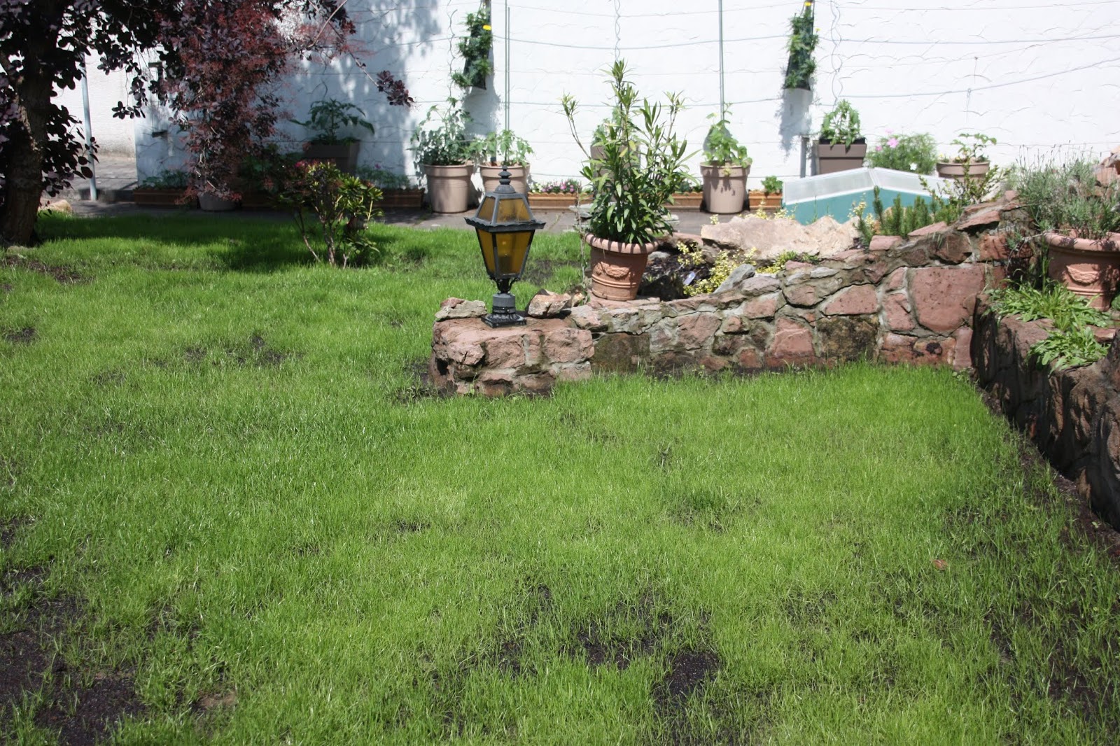 Braun wird Grün - Ein Gartenpost | Tinaspinkfriday - Größe mit Stil