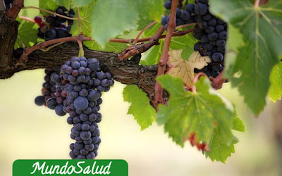 Beneficios de la uva para los riñones
