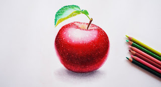 Apple sketch Apple sketch