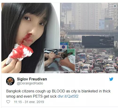 FOTOS: neblina provoca que a ciudadanos y animales de tailandia les salgan sangre de la nariz. FOTOS: neblina provoca que a ciudadanos y animales de tailandia les salgan sangre de la nariz.
