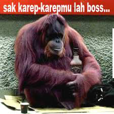 33 Gambar Komen FB Terbaru Bahasa Jawa - Gambar Lucu Terbaru