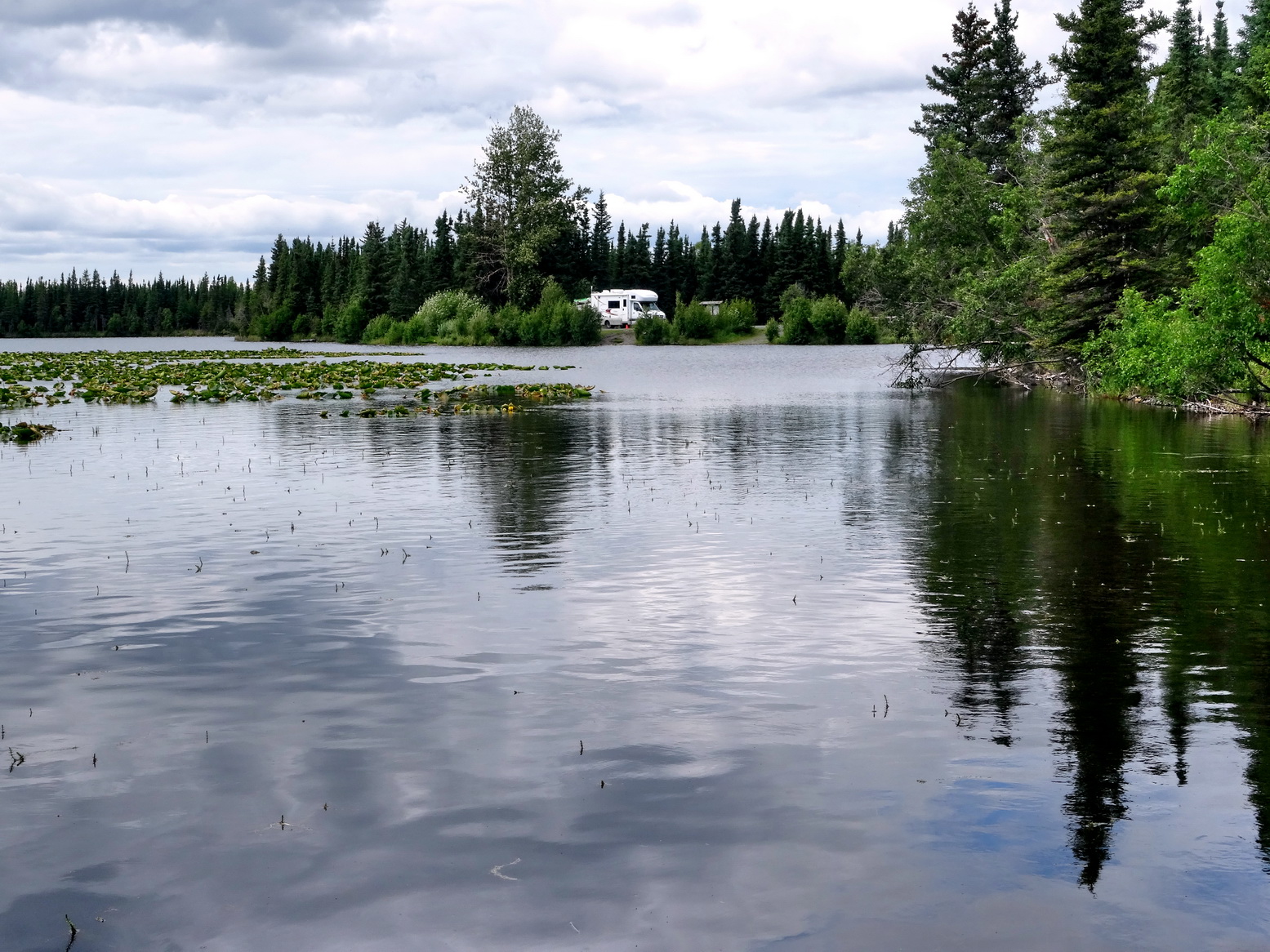 M and M in M Peterson Lake