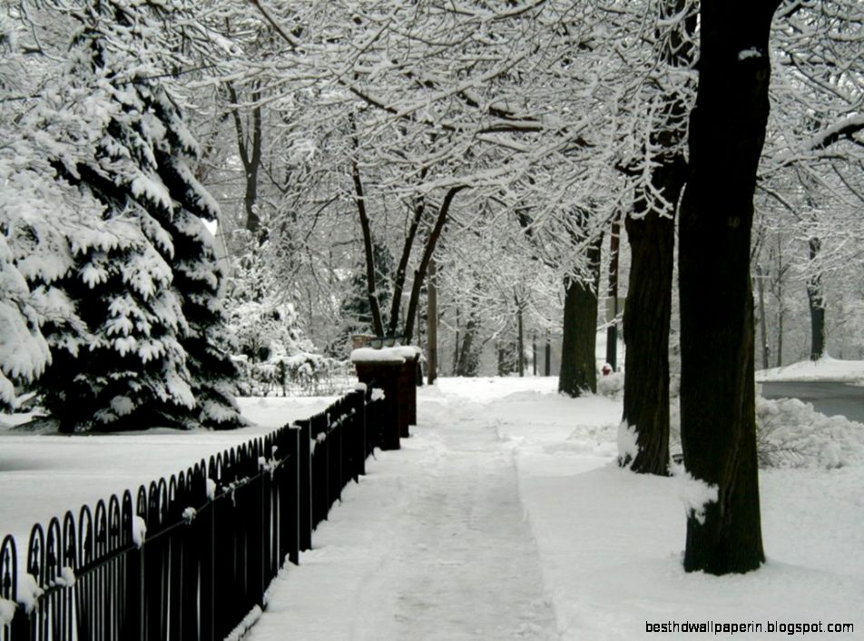 COOL WINTER WALLPAPERS DESKTOP FREE CVB014  Wallpaperf1