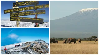 Mount Kilimanjaro is the highest mountain in Africa, the highest freestanding mountain in the world and one of the Seven Summits.