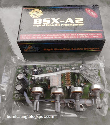 preamp_mic_echo_repeater_bsx_A2