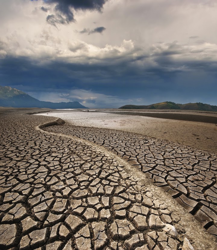 Should I Worry About Ukulele Humidity?