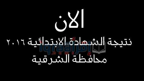 نتيجة الشهادة الابتدائية 2016 محافظة الشرقية الترم الثاني نهاية العام برقم الجلوس