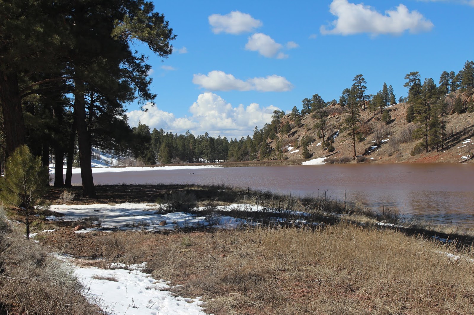 Armand's Rancho Del Cielo McGaffey Area Campgrounds