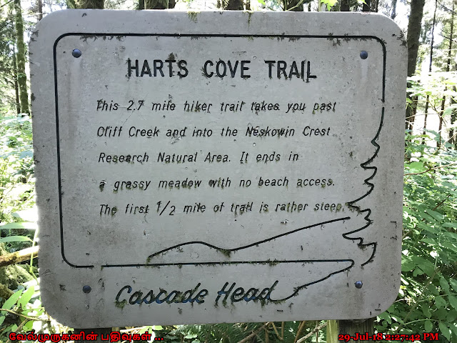 Hart's Cove Scenic Hike 