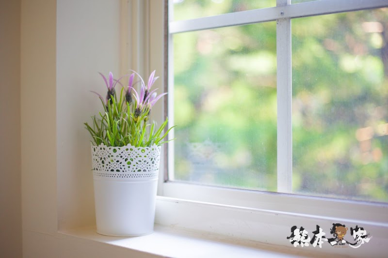 苗栗飛牛牧場親子住宿|牧場原墅家庭房|森林芬多精相伴的童趣屋