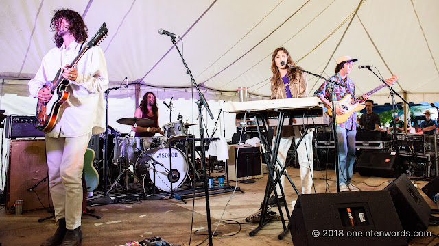 Anemone at Hillside 2018 on July 14, 2018 Photo by John Ordean at One In Ten Words oneintenwords.com toronto indie alternative live music blog concert photography pictures photos