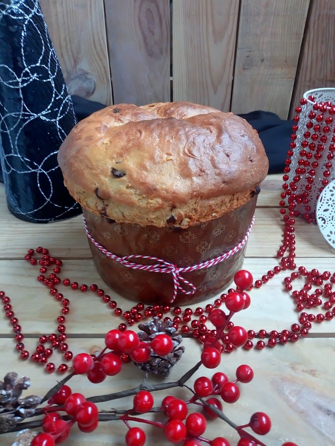Panettone de calabaza con chocolate y naranja confitada. Receta navideña. Desayuno, merienda, postre. Muy esponjoso. Sin masa madre. Sin prefermento. Cuca