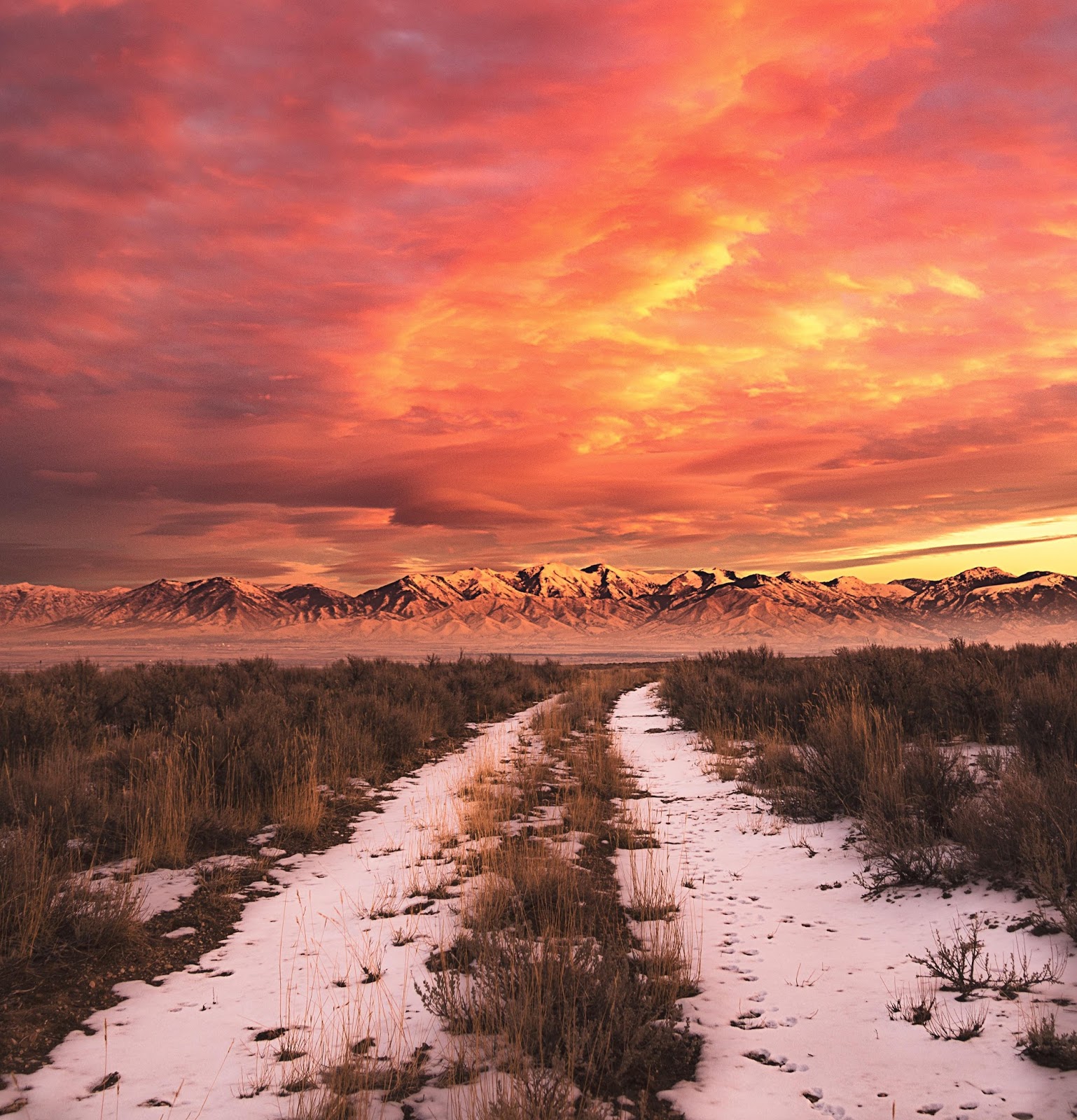 Kari LikeLikes Spicy Sky Rush Valley, Utah nature