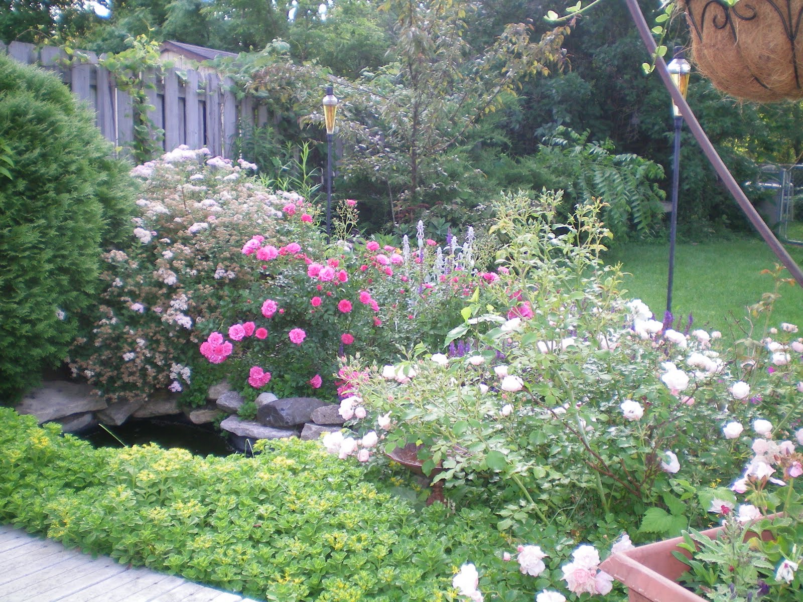 American Homestead: My Dream Garden American Homestead: My Dream Garden on My Dream Patio id=57071